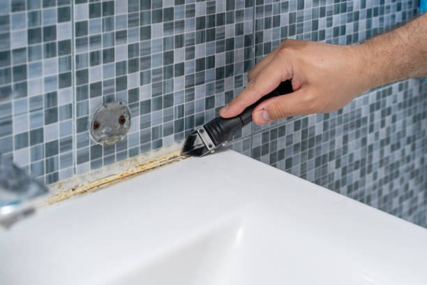 Best Insurance-Related Mold Remediation in Curtice, OH