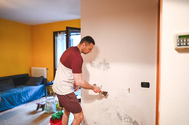 Professional Mold Remediation in Curtice, OH